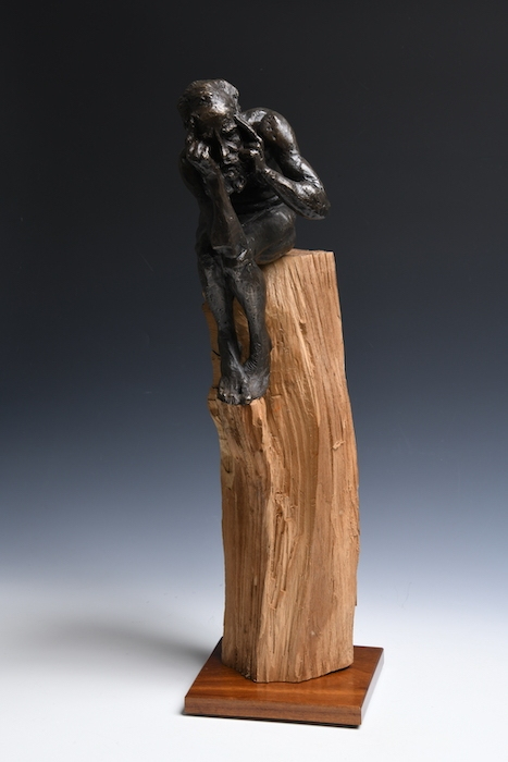 Bates_Serena_Precipice_bronzeandwood_20x5x5_3800