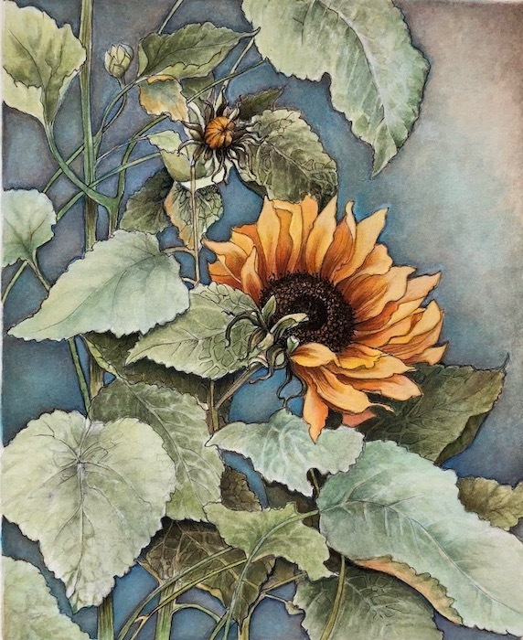 Dewell_Paula_Sunflower_mixedmedia_17.5x15_350