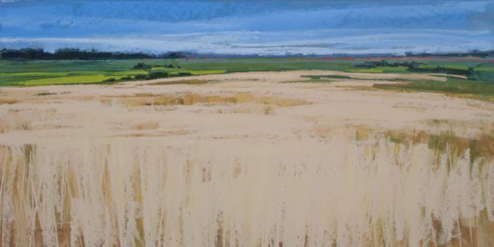 QuinnMunson_Deborah_FieldofGold_pastel_12x24_900