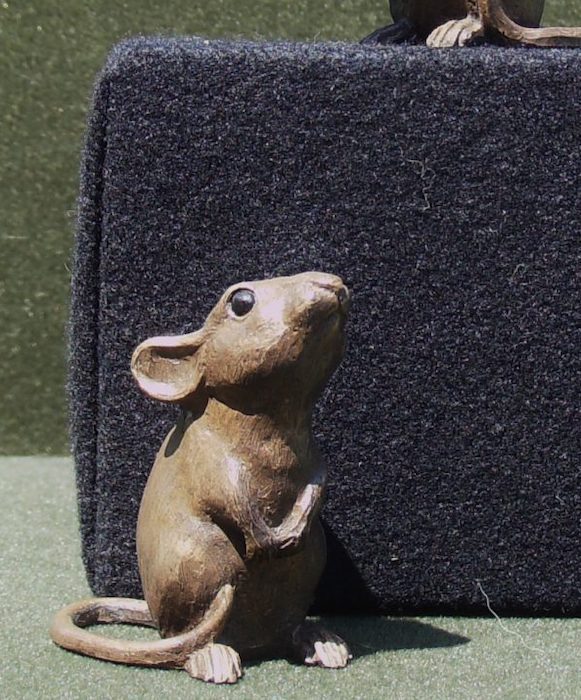 "Nosey Mouse" & "Washing Mouse"