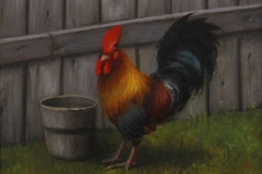 Patt Baldino, "Proud Rooster", oil, $900