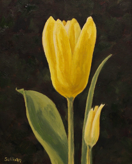 Shawn Sullivan, "Yellow Tulip", oil, $550