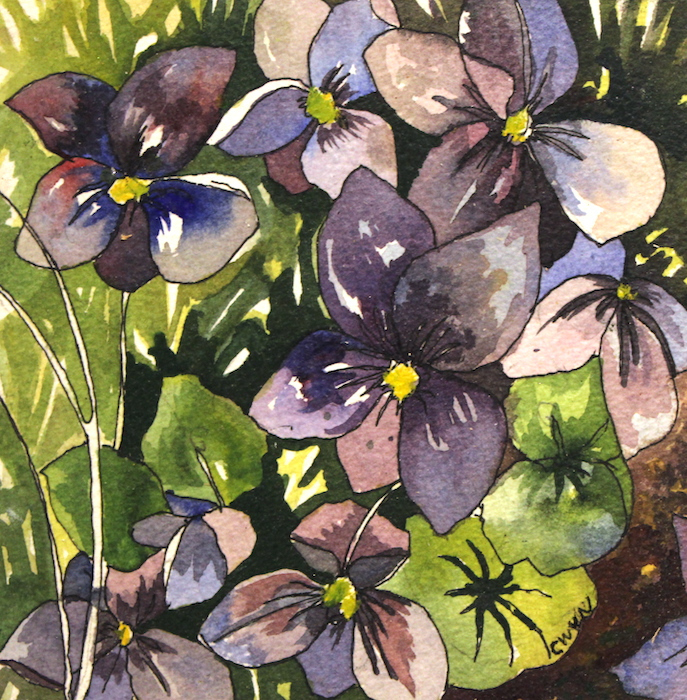 Claudia Van Nes, "Violet in the Lawn", watercolor, $200
