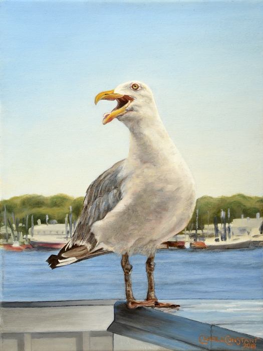 Carole Constant, "The Laughing Gull", oil, 16x12, $2,800