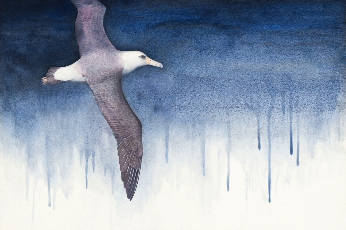 Kelly Radding, "Wisdom – Air", watercolor, 20x30, $3,000