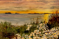 Monica Hummell Arnold, "Montauk Daisies", watercolor, $250