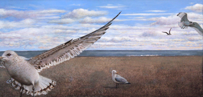 Davis Chandler  Gullaverse Acrylic 550