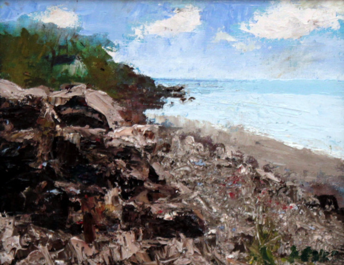 Kaiser  Keiko  Shoreline Day Oil 250