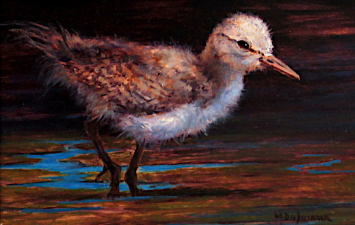 DeSomma Mally Tip Toe Through the Marshland Oil 225