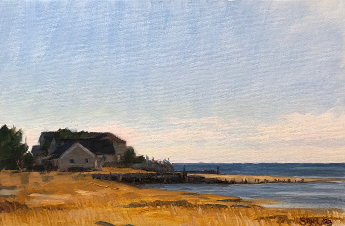 Murtha Sean  Harvey's Beach Oil 900