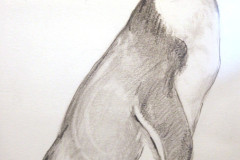 Bates, Serena, "Penguin", graphite