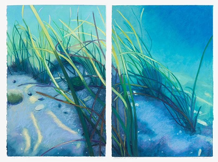 Laura  Barr	, 	Sound 1 + 2 Diptych	, 	oil pastel	,	$2,500