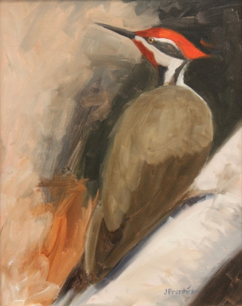 Jan Prentice	, 	Pileated WoodPecker	, 	oil	,	$250