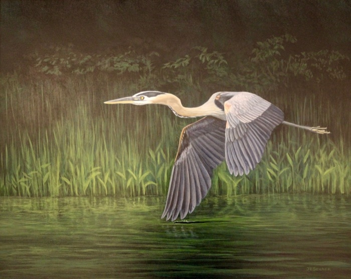 J. Elaine Senack	, 	On the Wing - Great Blue Heron	, 	acrylic	,	$1,200