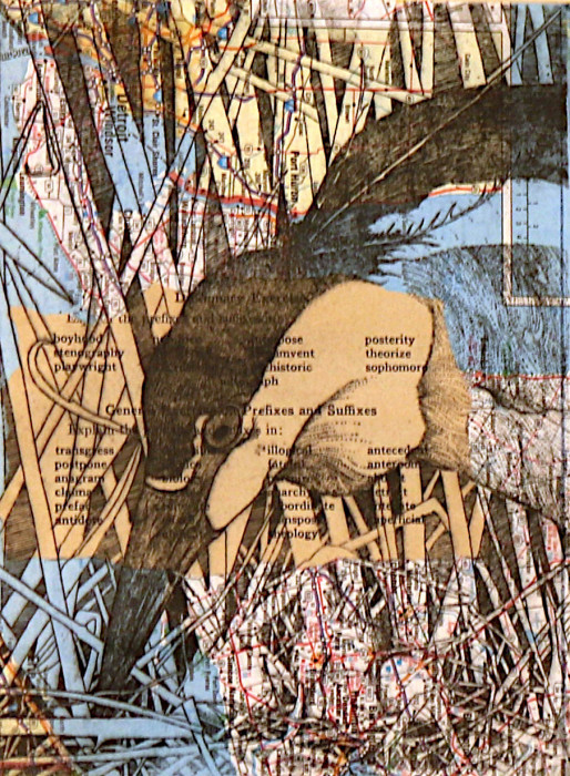 Melissa Meredith, "Night Heron ", Etching, $250