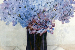 Cora Preibis, "Last Summer's Hydrangeas", watercolor, $350