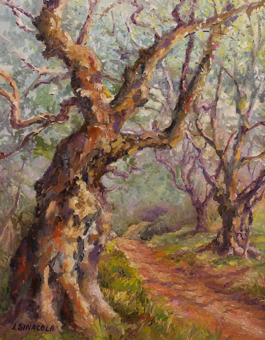 Linda Sinacola, "Italian Olive Farm", oil, $650