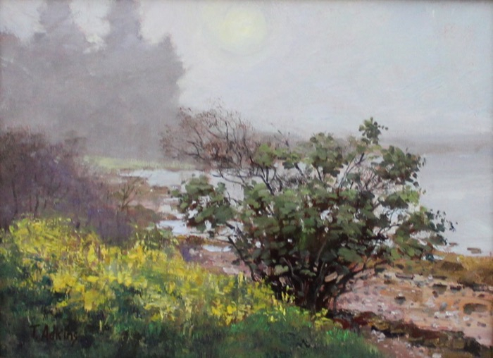 adkinsthomasfoggycoast