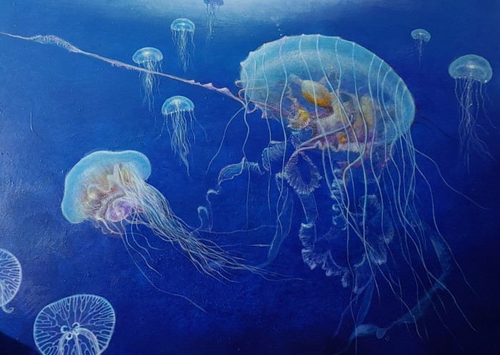 Davis_Chan_Jellyfish-Desending