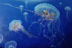 Davis_Chan_Jellyfish-Desending