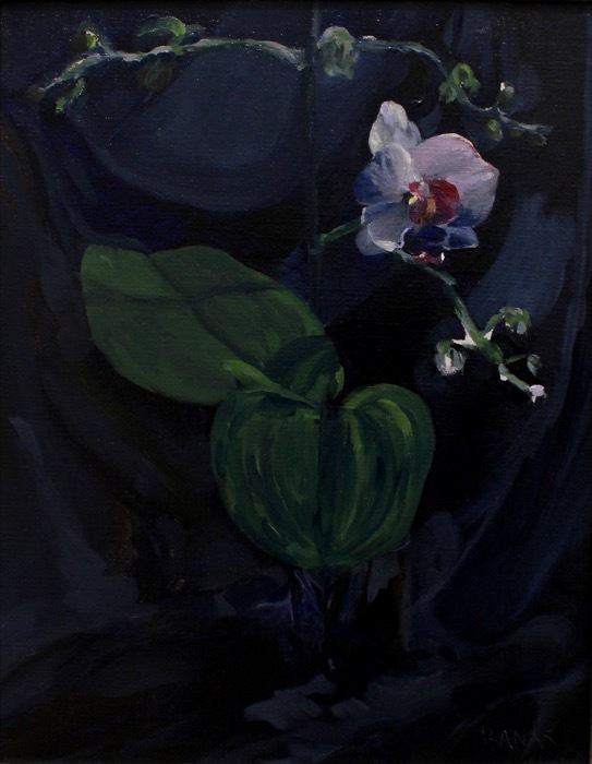 BanasTeriYingandYangintheShadowBoxoil_800_11x14