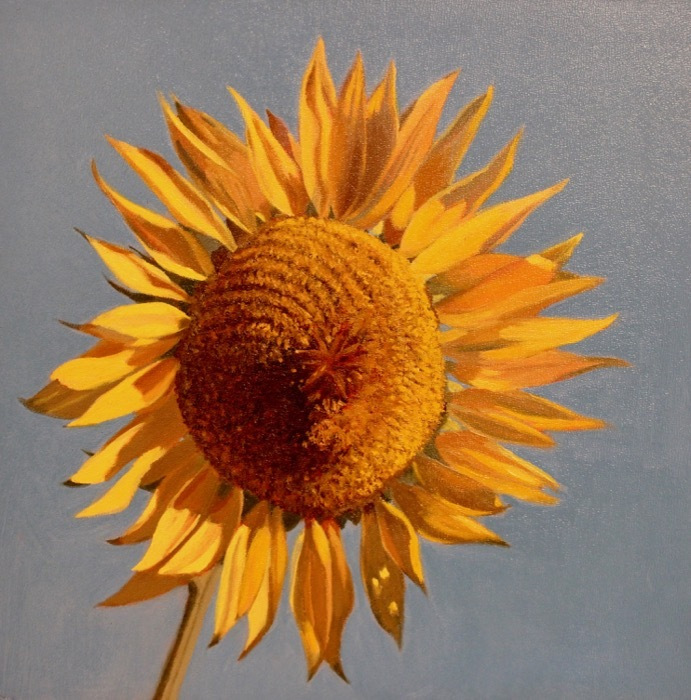 ChandlerDiane_Helianthus_oil_110_8x8