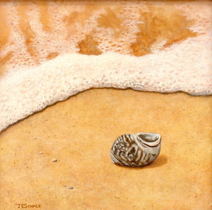 SenackJElaine_PeriwinkleShell_acrylic_550_12x12