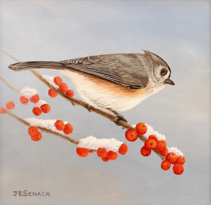 SenackJElaine_TuftedTitmousewithWinterberries_acrylic_650_8x8
