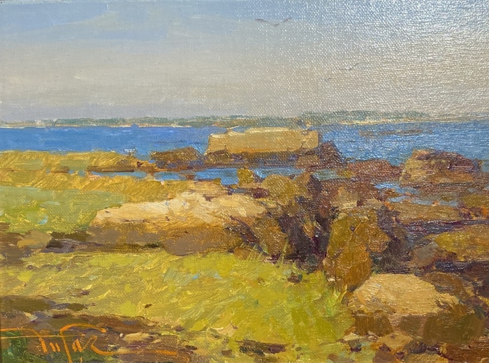 31.-BikbovZufar_Shoreline-Rocks_oil_6x8_550