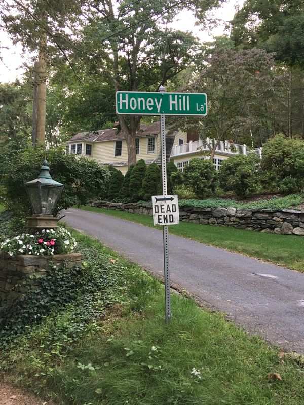 Lyme Art Association Where art lives!