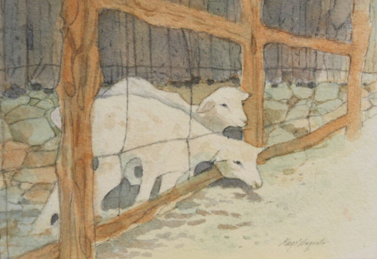 Kay Brigante, Sheep in the Pen, watercolor, 5x7