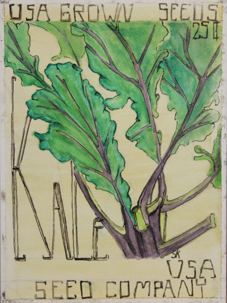 Sarah Kentoffio, Seed Packet, 7x5, watercolor and ink