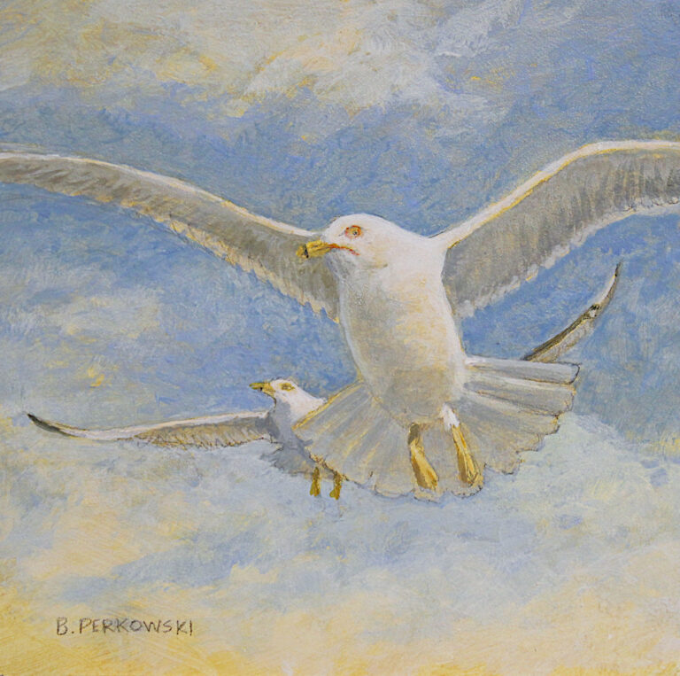 Bob Perkowski, "Two Gulls Soaring", acrylic, 6x6