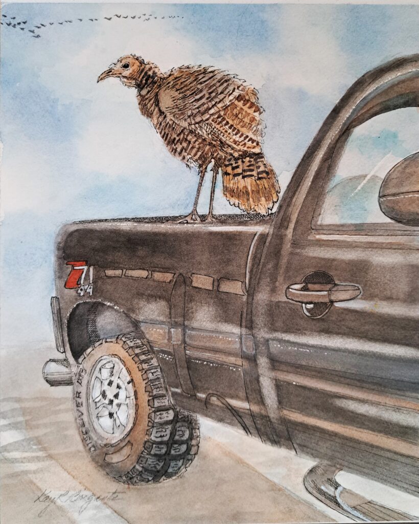 Kay R. Brigante, "Turkey on a Truck"