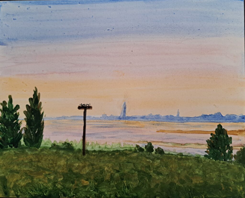 Ann B. Pierson, "Osprey Nest"