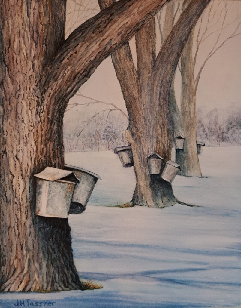 Jennifer Tassmer, "Tapping the Maples"