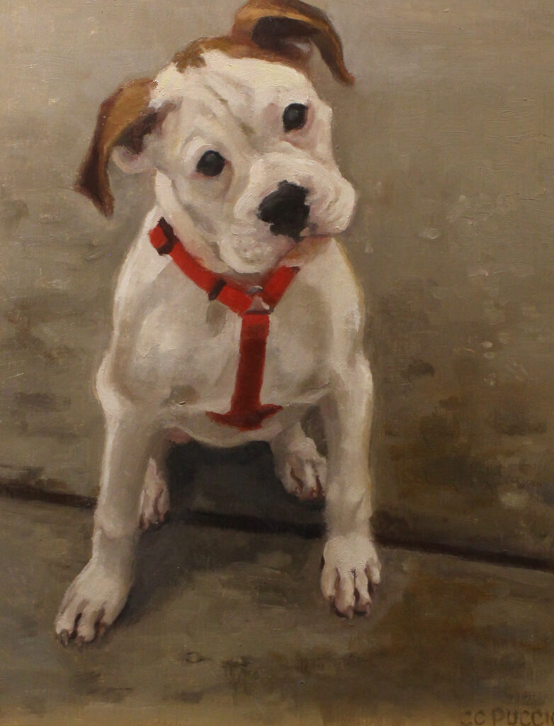 Pavement Pup, Oil, 850