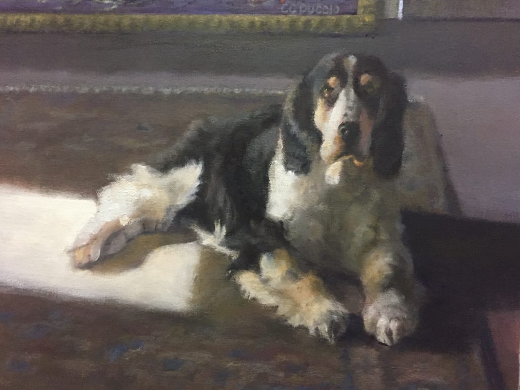 Catherine Puccio, Gallery Dog, Oil, 16x20, $950