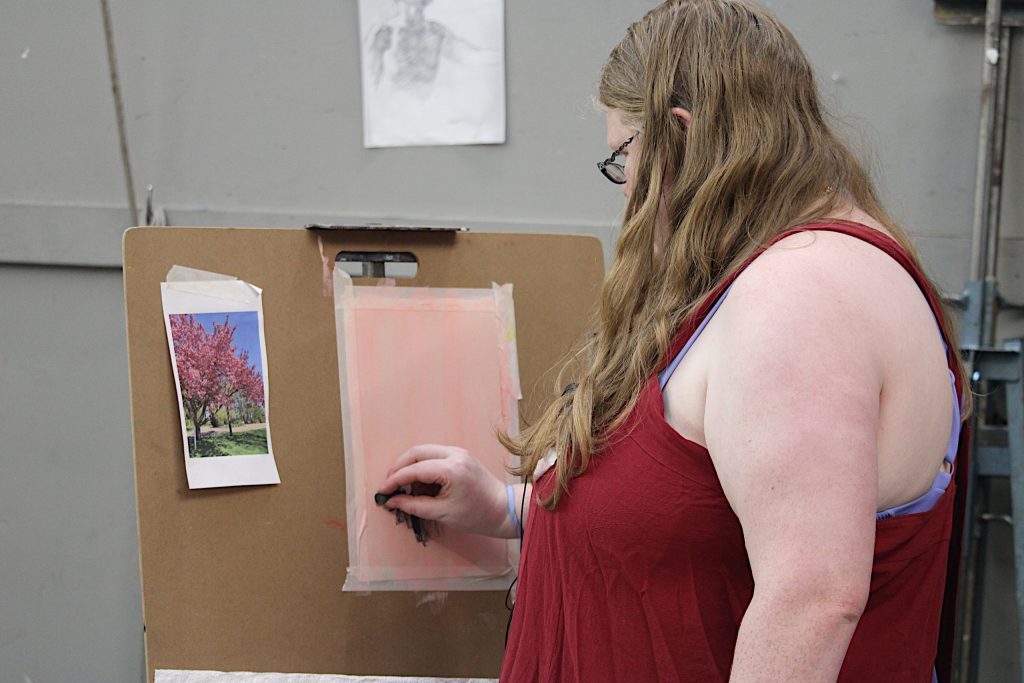Diana Rogers Pastel Class