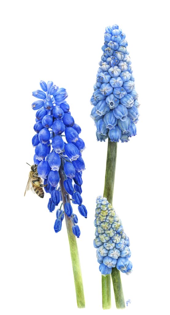 Winter Blues Class image 2_ JDaigle