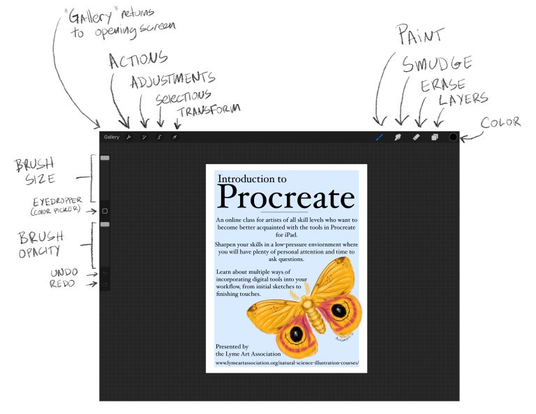 zillah smith procreate text