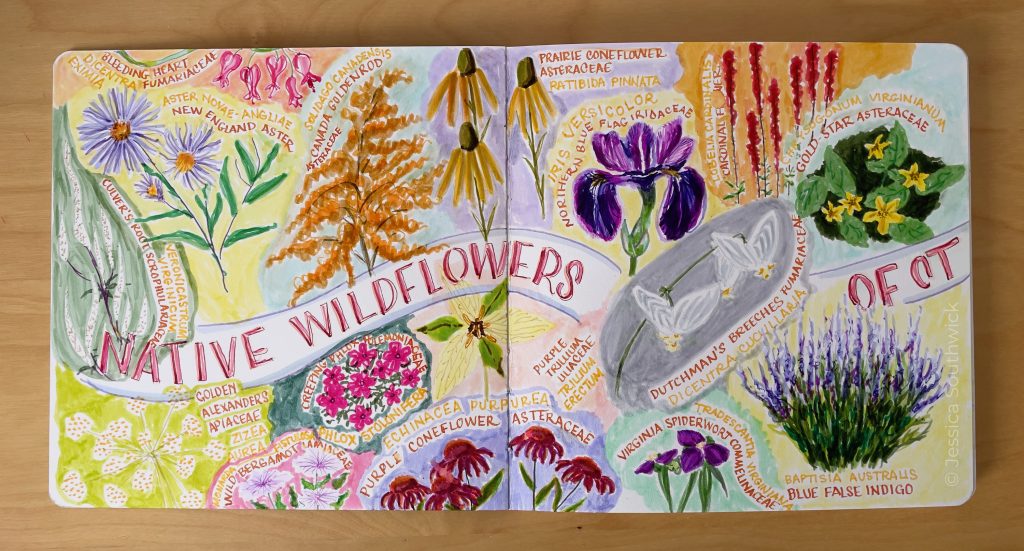 HDYGG - Native Wildflowers Spread - Jessica Southwick