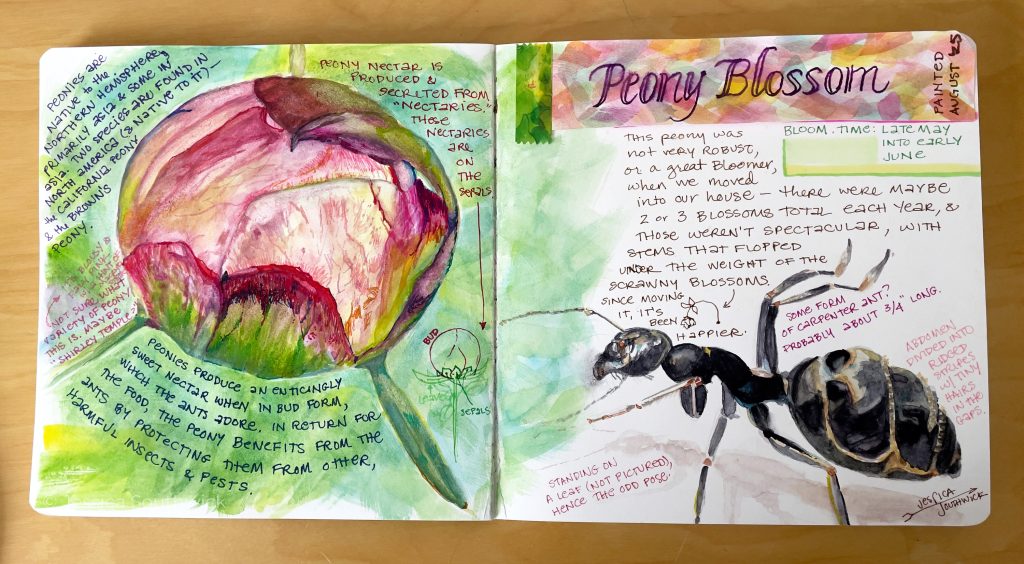 HDYGG - Peony Blossom Spread - Jessica Southwick