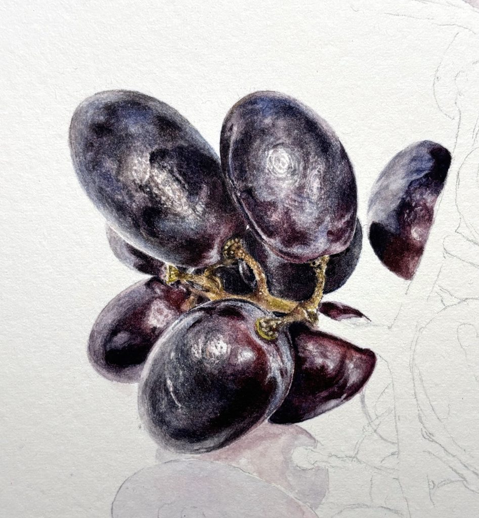 Daigle Updated Grape Painting