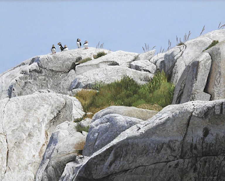 Cindy House, Puffins on the Rocks, pastel