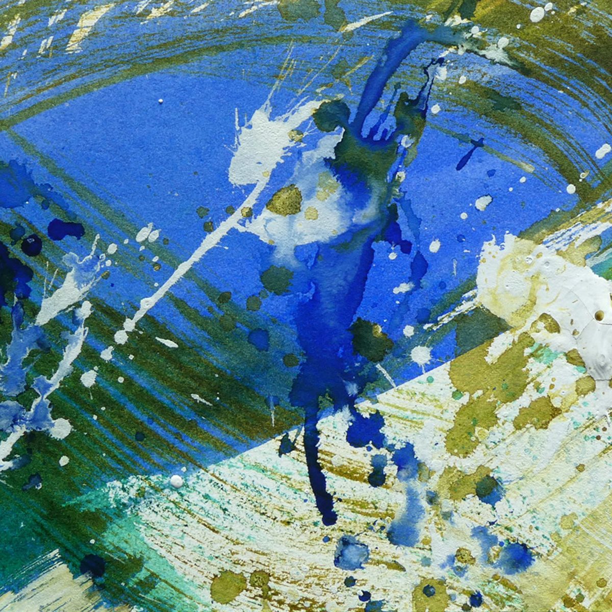 Judy Perry Tide Pool